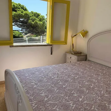 Casa Da Em A 50 Metros Da *